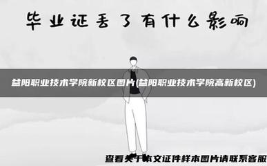益陽職業(yè)技術(shù)學(xué)院高新校區(qū) 教育軟件開發(fā)的搖籃與實景畫卷
